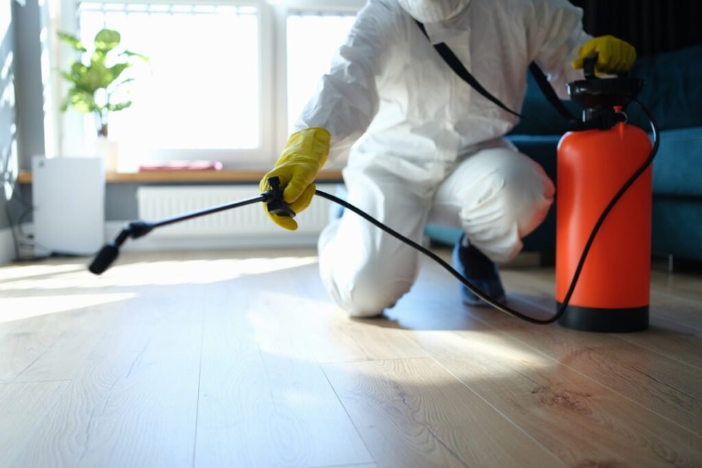 Pest Control Services and Maintenance