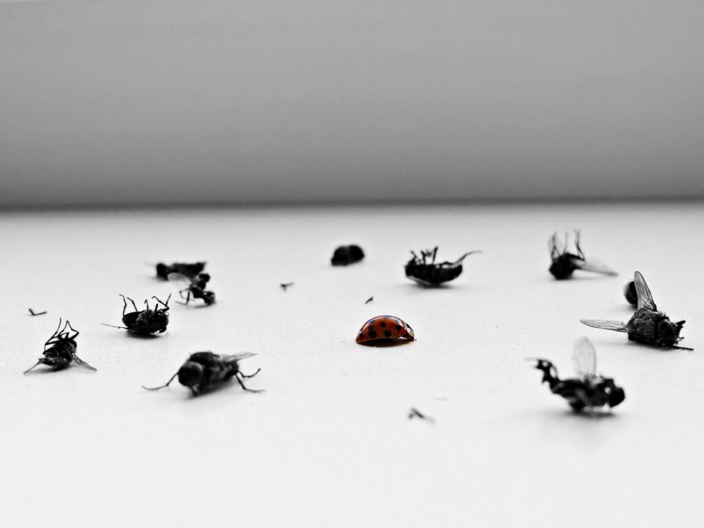 a group of flies sitting on top of a table