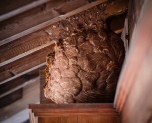 brown wooden wall with brown rope